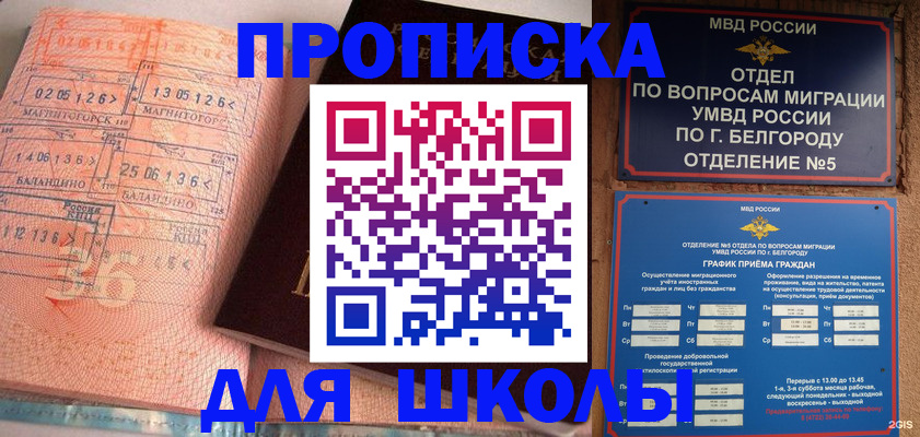 прописка иностранных граждан в Коле